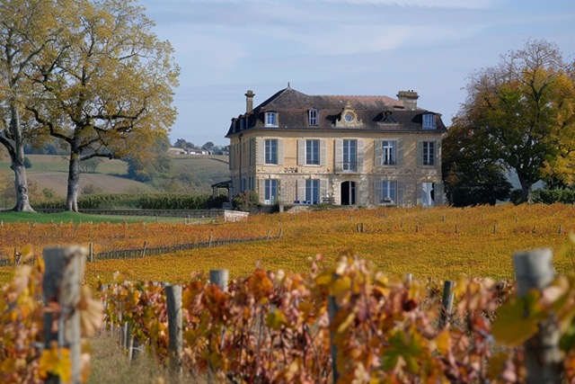 visite degustation cognac saint saturnin team building 1