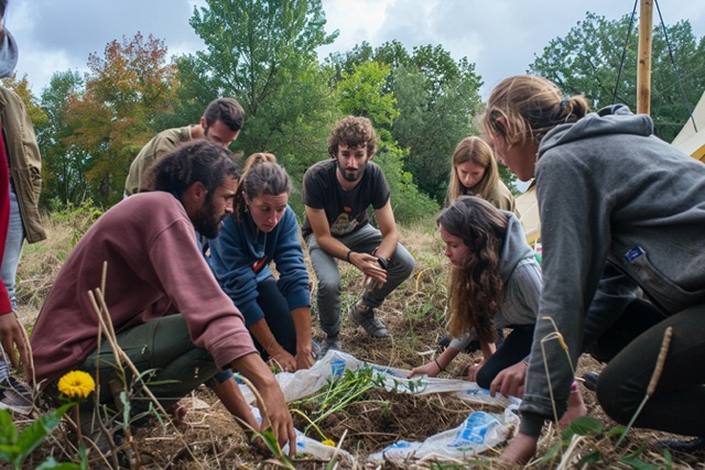 team building permaculture fontainebleau activite renforcement equipe innovante 2